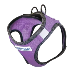 Bay Dog Liberty Harness Violet