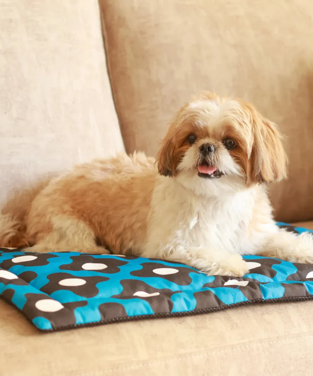 Blue Bliss Pet Mat