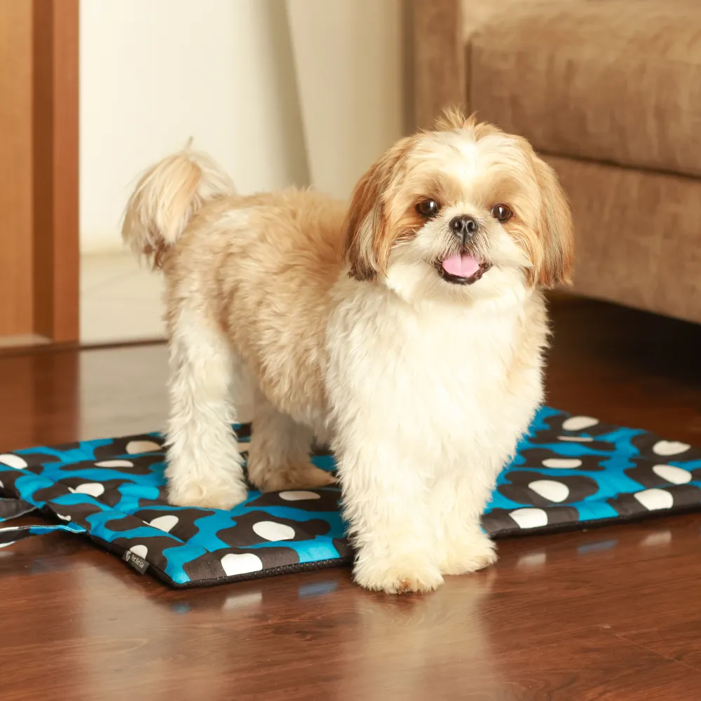 Blue Bliss Pet Mat