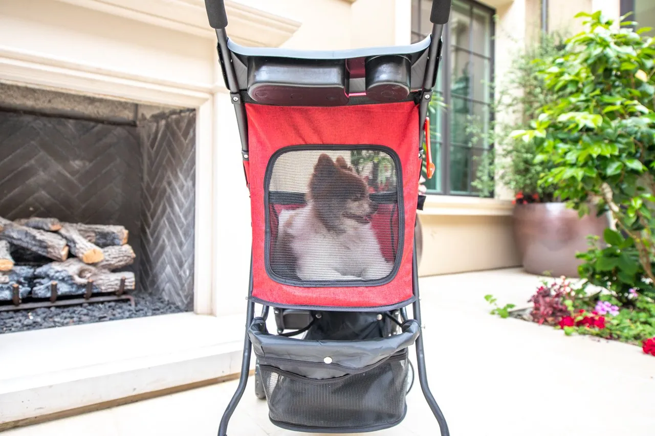 Catalina Pet Stroller: Durable, Lightweight, Compact Fold, Ventilation, Pee Pad Insert, Cup Holder, for Dogs/Cats/Pets up to 45LB