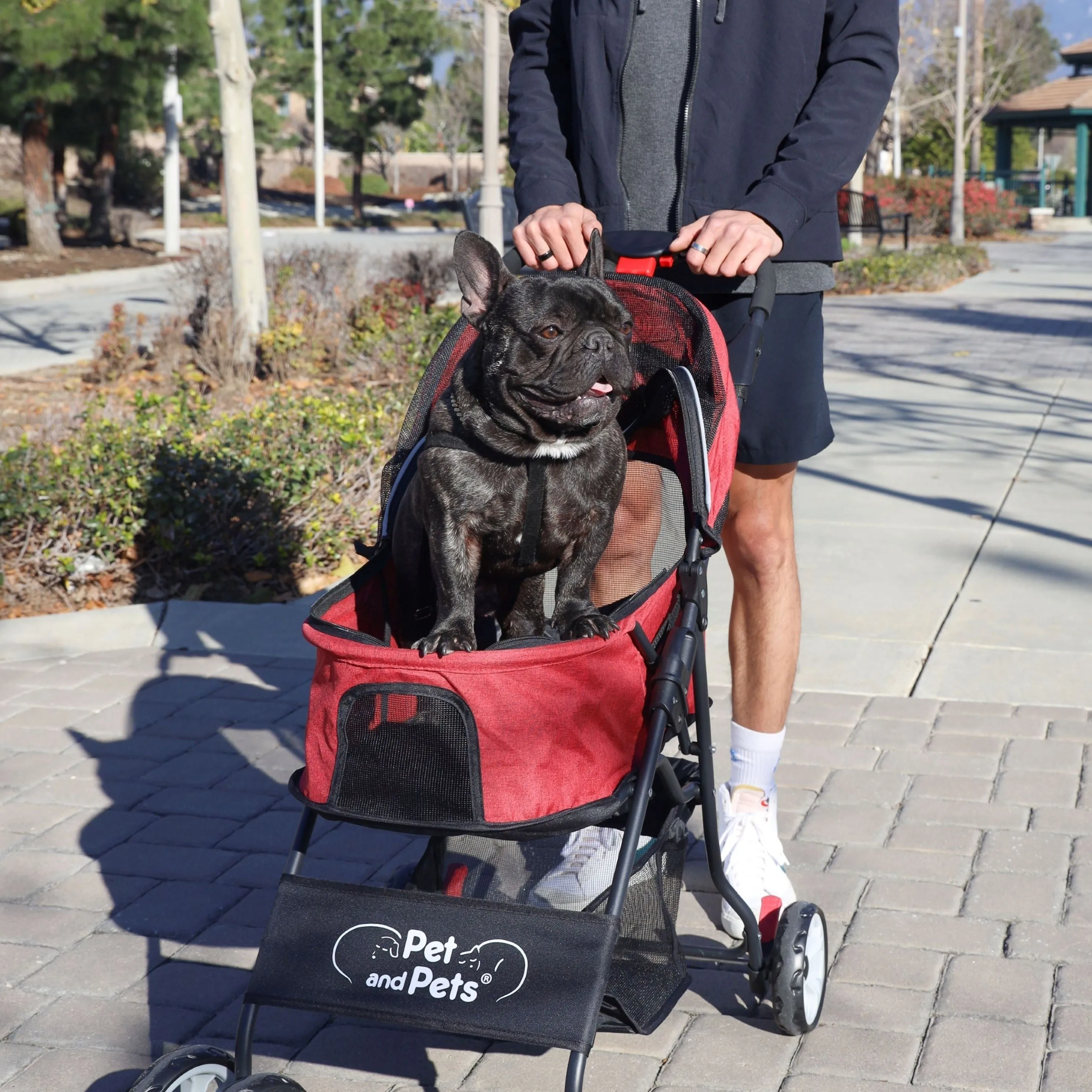 Catalina Pet Stroller: Durable, Lightweight, Compact Fold, Ventilation, Pee Pad Insert, Cup Holder, for Dogs/Cats/Pets up to 45LB