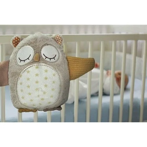 Cloud B Nighty Night Owl Smart Sensor