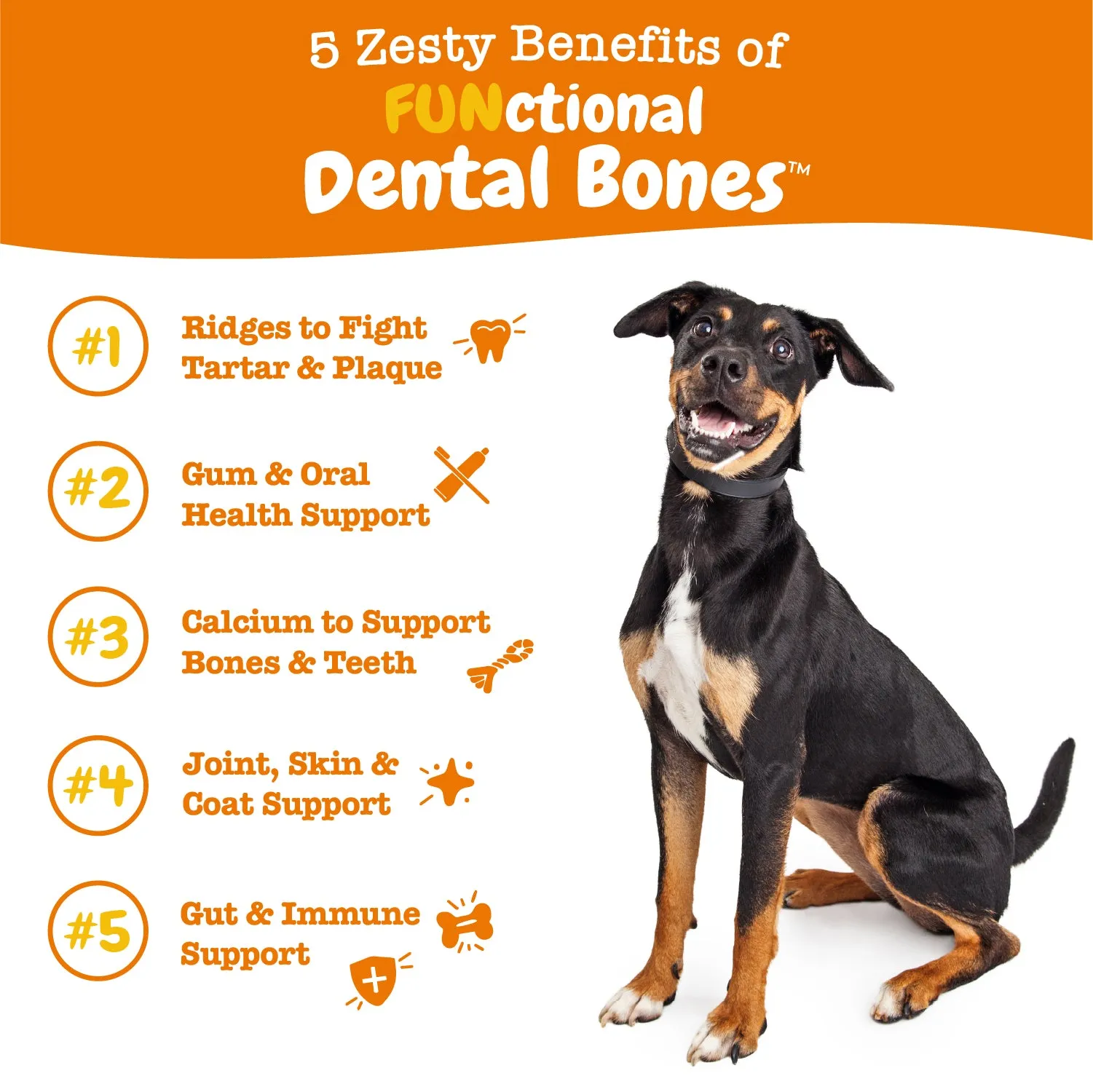 Dental Bones™ for Large Sized Dogs