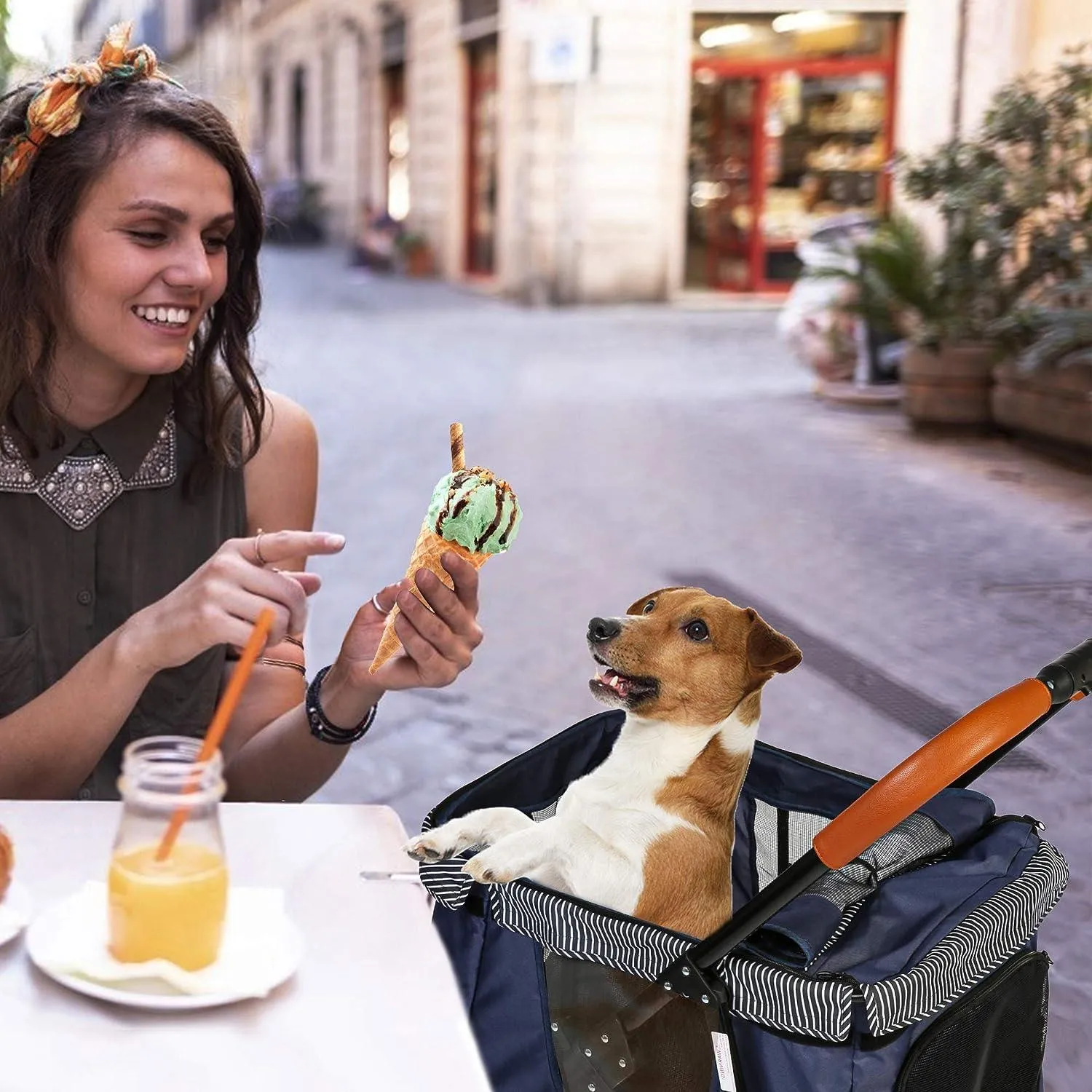 Folding Dog Stroller Pet Stroller with Removable Cushion and Multiple Mesh Windows, Blue