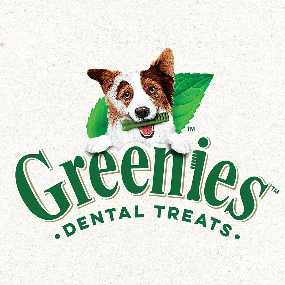 Greenies Canine Dental Dog Treat Sweet Potato Flavored Petite 340g