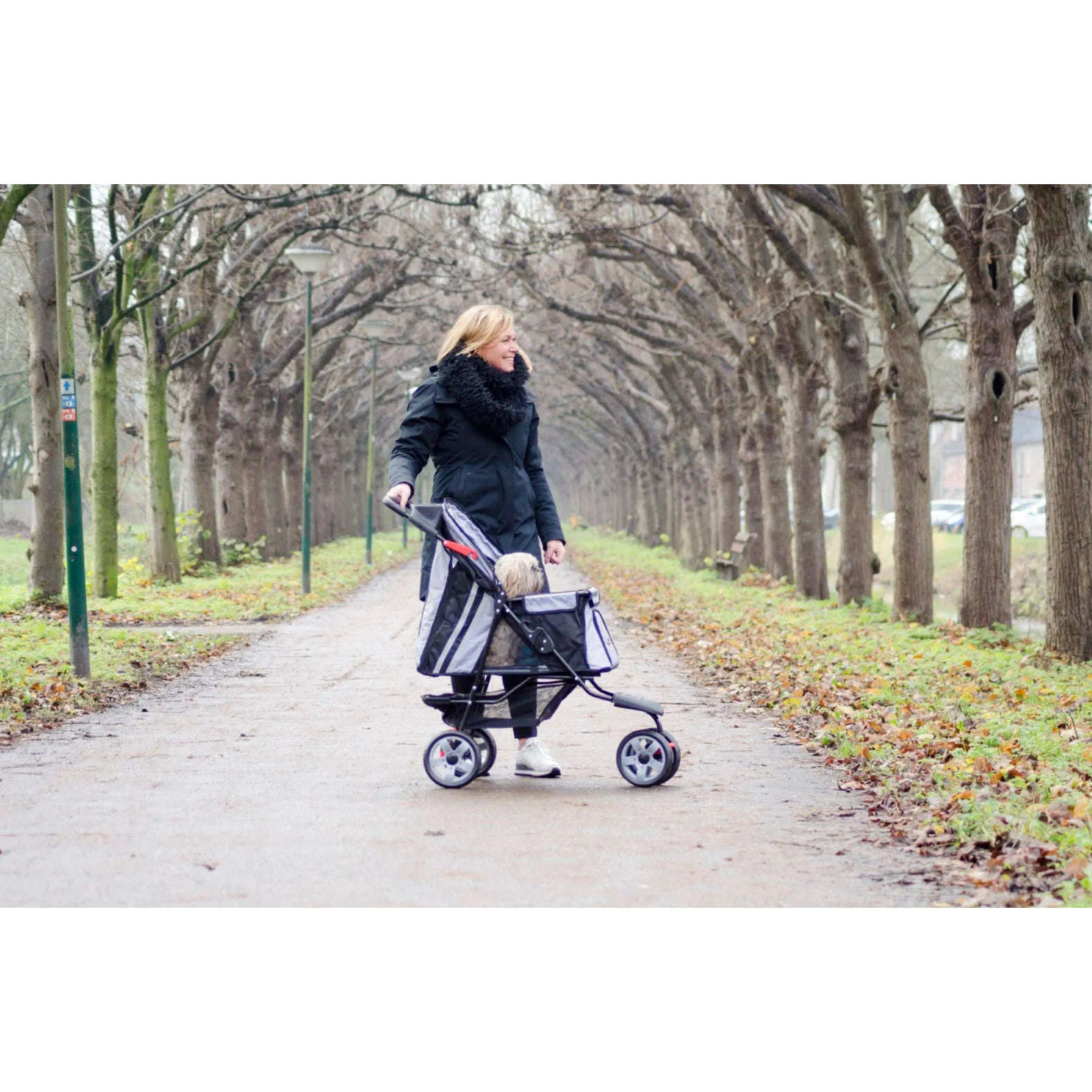 InnoPet All Terrain Dog Pram