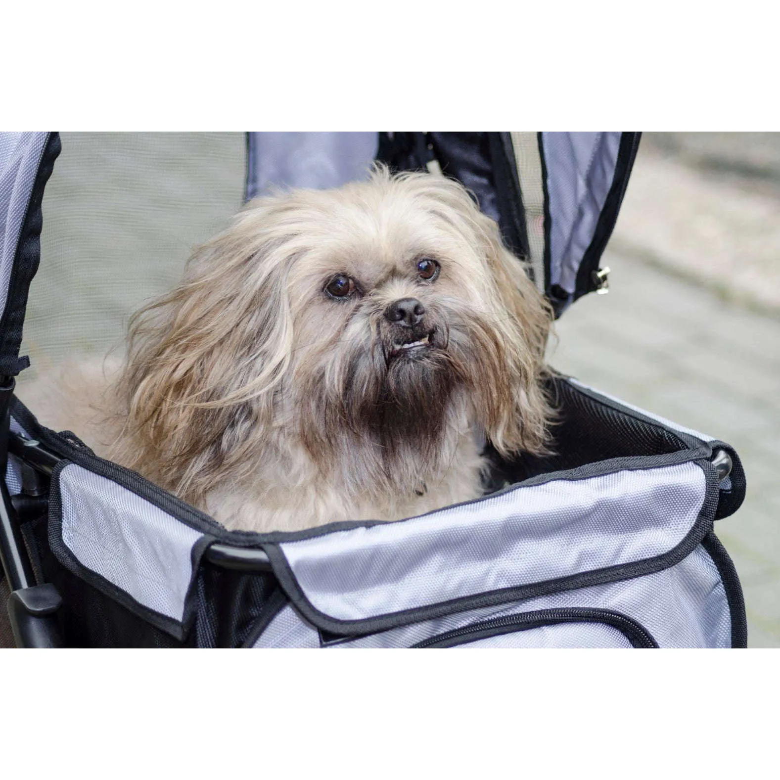 InnoPet All Terrain Dog Pram