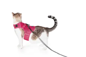 Martingale Calming Harness for Cats from Sleepypod