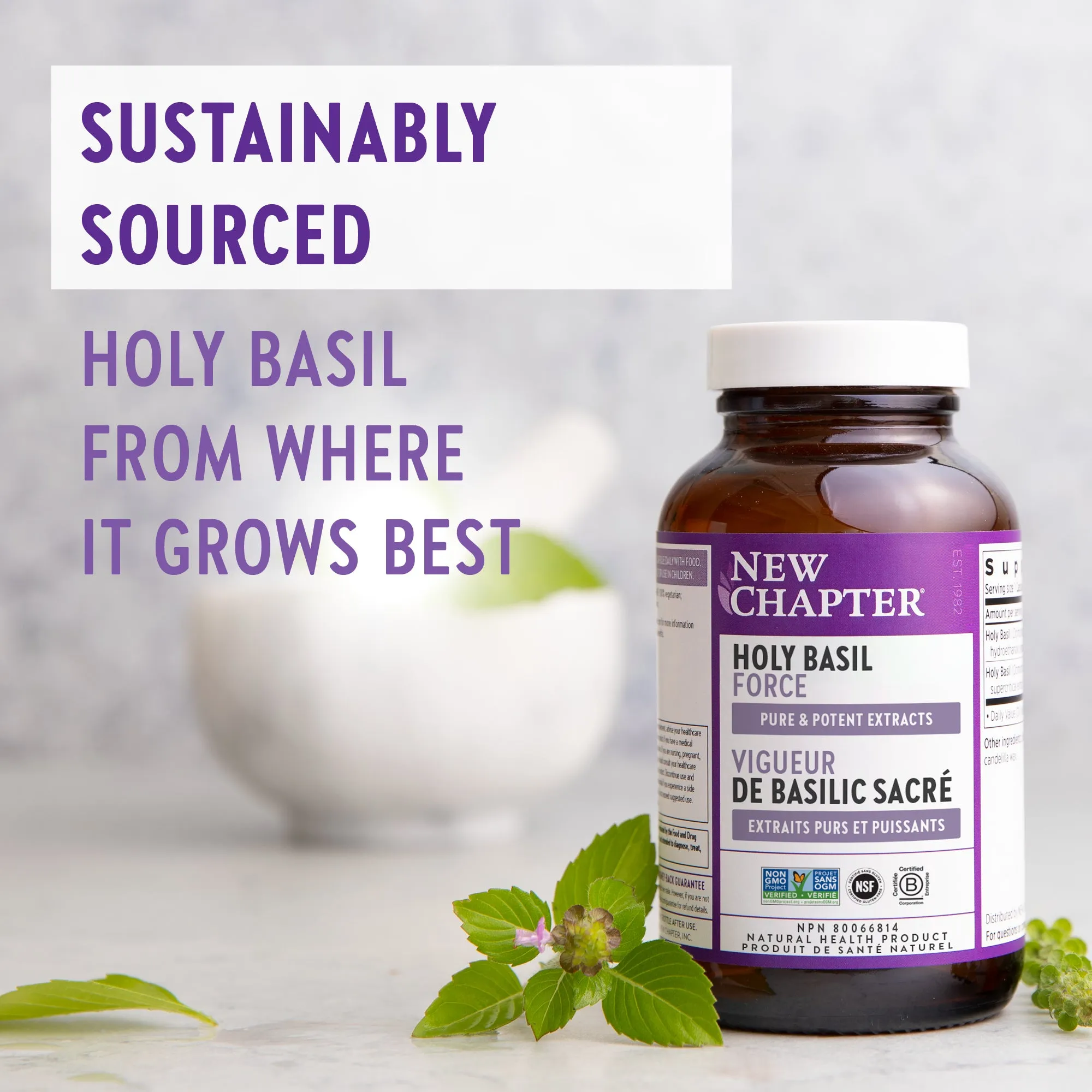 New Chapter® Holy Basil Force™