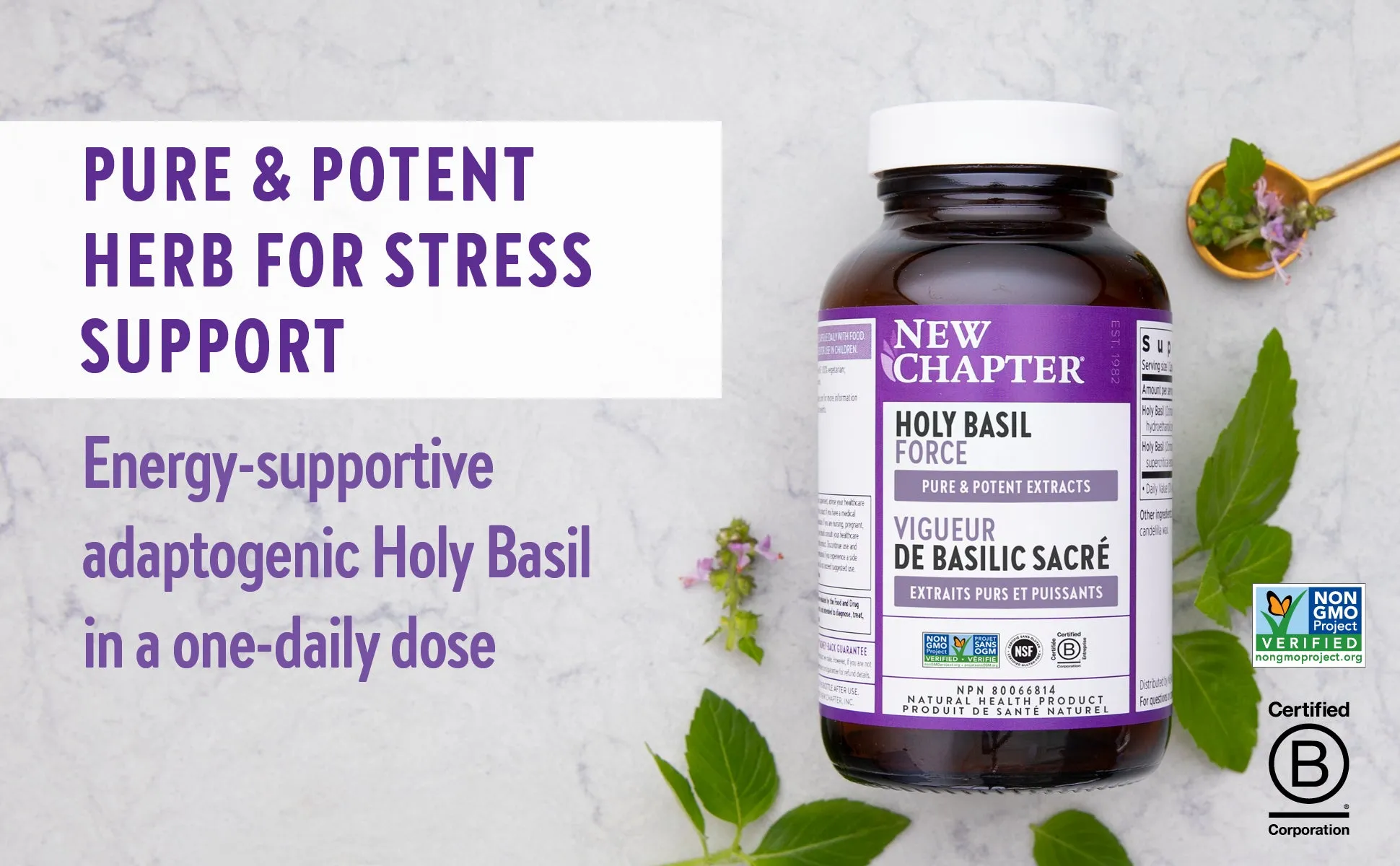 New Chapter® Holy Basil Force™