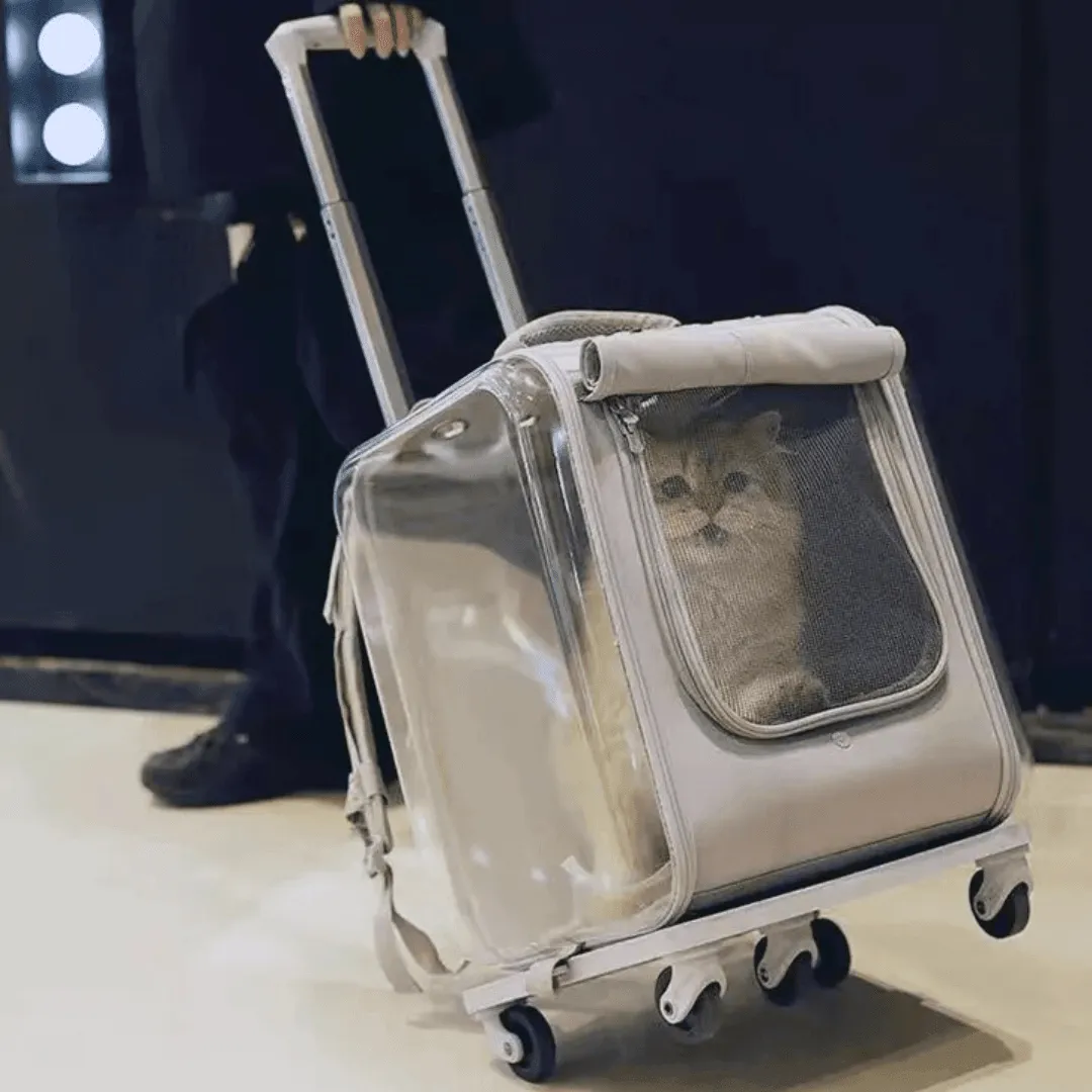 Pet Prowl Cat Stroller