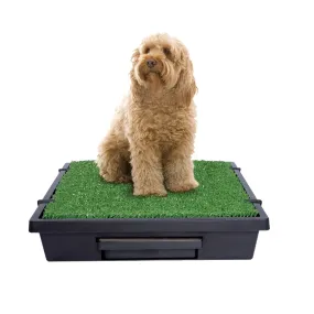 PetSafe The Pet Loo Medium Portable Toilet for Dogs