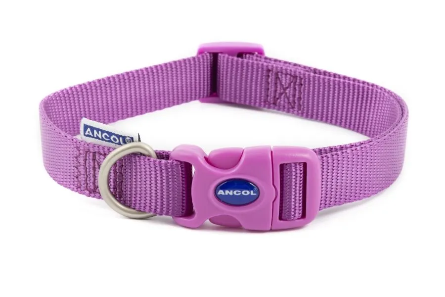 Viva Nylon Quick Fit Adjustable Collar Purple 19mm X30-50cm Sz2-5